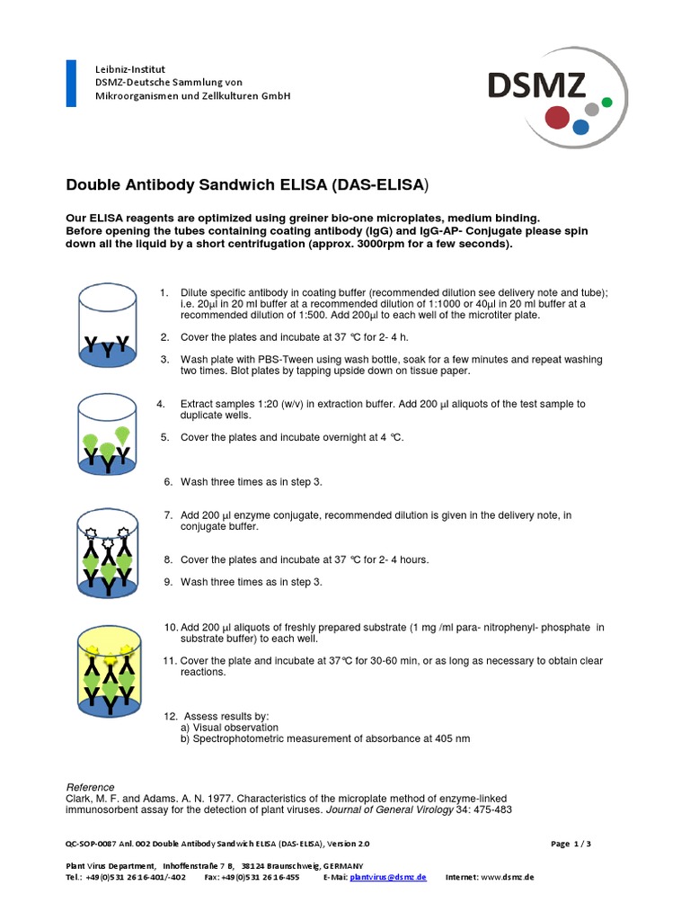 Double Antibody Sandwich ELISA (DAS-ELISA) | PDF | Elisa | Physical ...