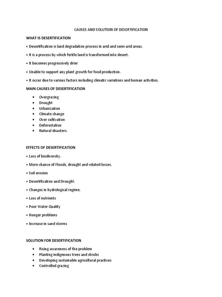 What Is Environment PDF