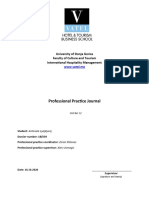 Professional Practice Journal