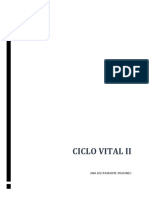 Ciclo Vital PDF