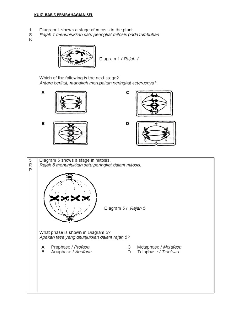 Kuiz P Sel Bio F4 Pdf