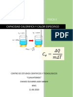 Calor Especifico PDF