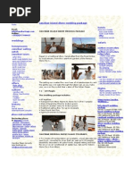 Download ZANZIBAR WEDDINGS DHOW ISLAND WEDDING PACKAGE by David SN4884303 doc pdf