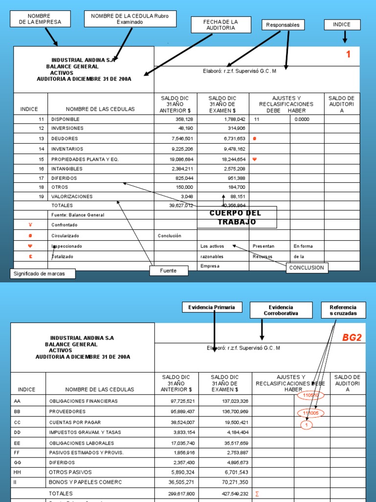 Auditoria FORMATO DE CEDULAS