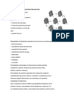 Hidratación proteínas: agua componente esencial