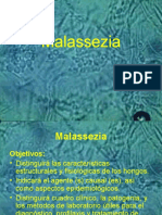 Malassezia 1198640717880369 5