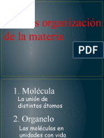 Niveles de Organizacion de La Materia
