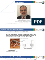 Icarbohidratos PDF