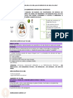 Plan Alimentario Hipoglucido PDF