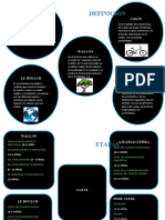 El esquema corporal: definiciones, etapas y características