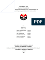 Caryophyllidae PDF