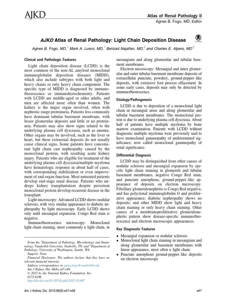 AJKD Atlas of Renal Pathology - Light Chain Deposition Disease | PDF ...