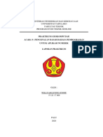 Acara 9 Geokomputasi Willyam F 121 17 069 PDF