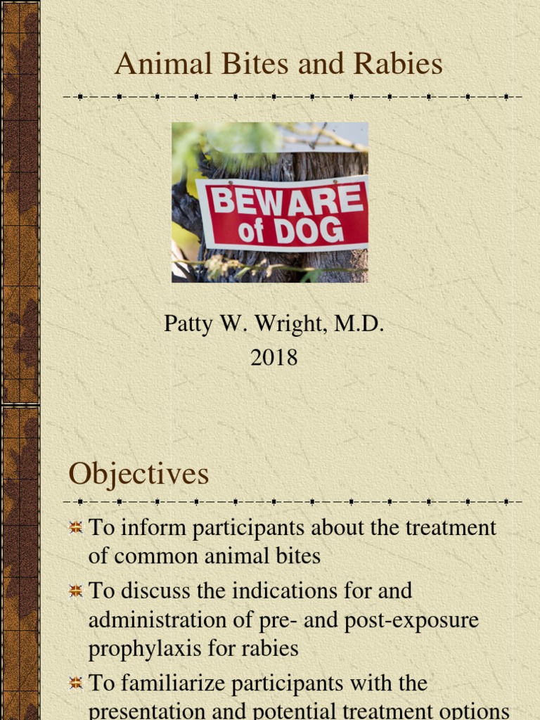 Animal Bites and Rabies PDF PDF Rabies Medicine
