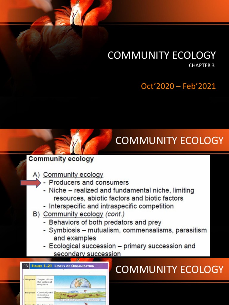 Community Ecology and Niche Dynamics | PDF | Predation | Parasitism