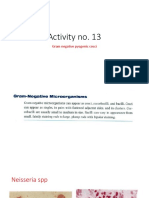Activity No. 13: Gram Negative Pyogenic Cocci