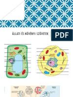 Állati És Növényi Szövetek