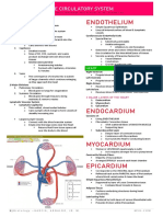 Circulatory System Histology PDF