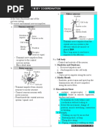 Science Notes Form 4 | PDF | Nervous System | Neuron
