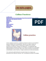 Gallinas Ponedoras