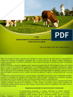 Curs 8 Bovine 2 PDF