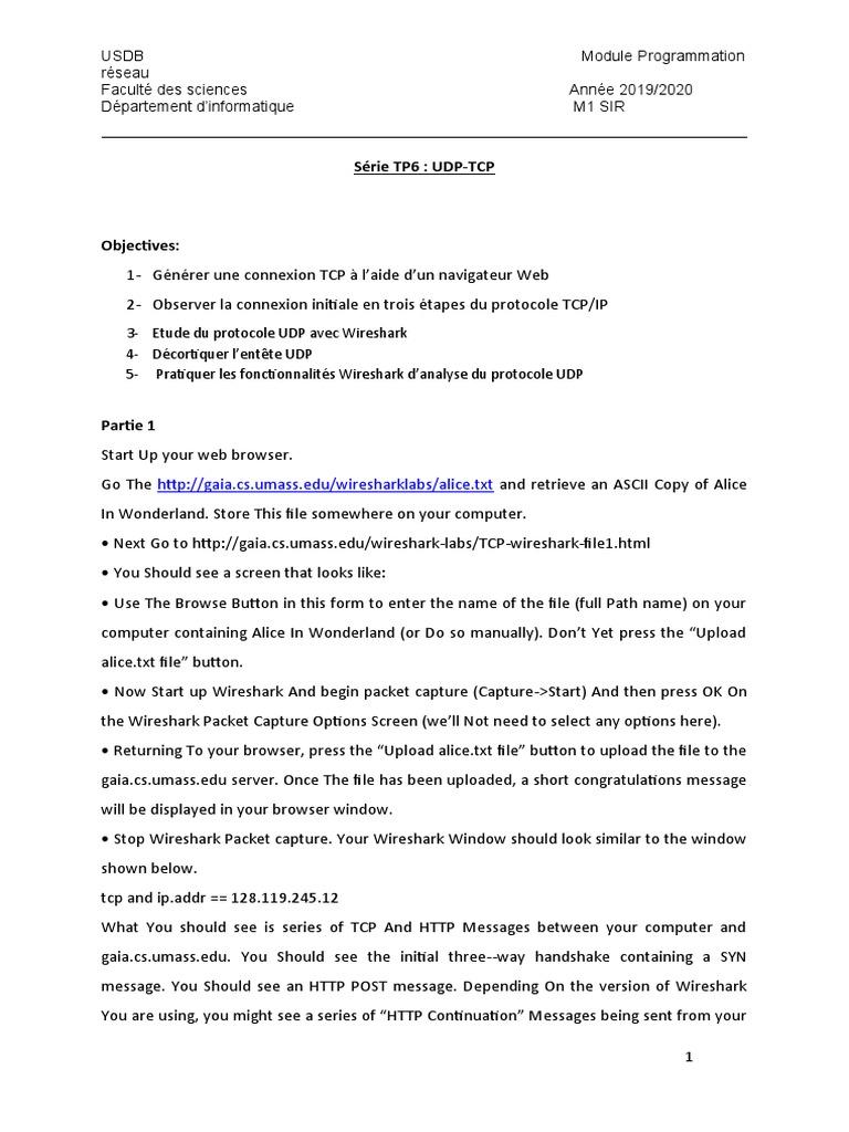 TCP/UDP Protocol Analysis Guide | PDF | Transmission Control Protocol ...