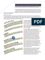 Sanger Sequencing and The Polymerase Chain Reaction