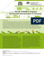 Seed Value Chains