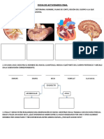 Ficha de Actividades Final PDF