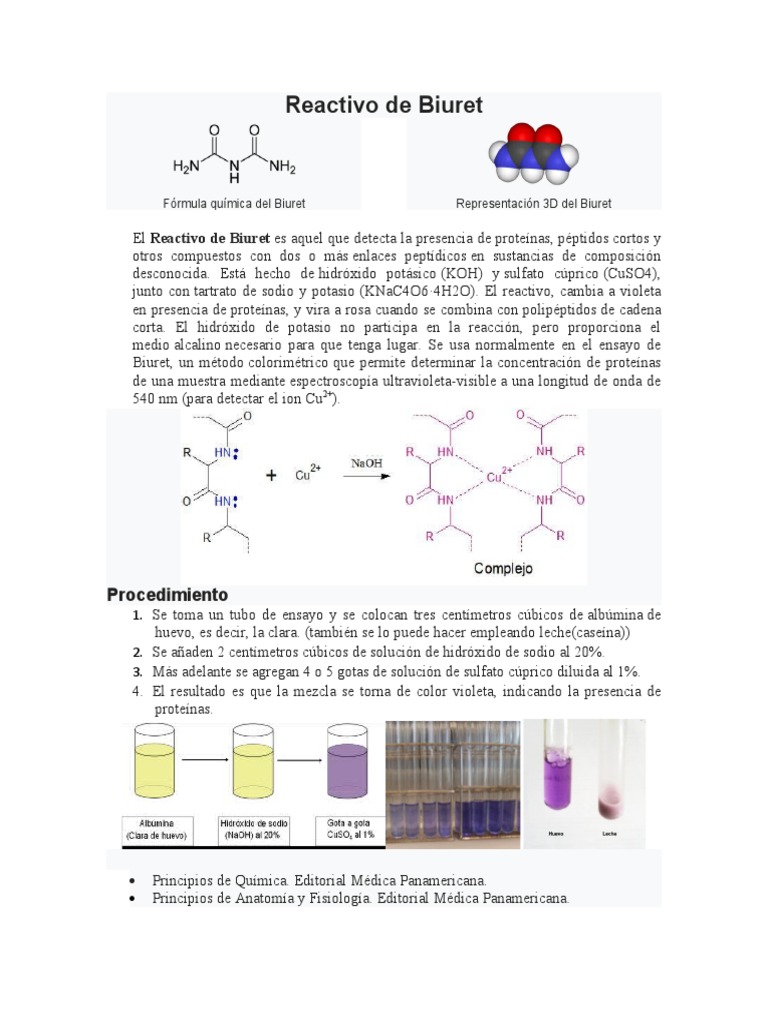 Reactivo de Biuret | PDF