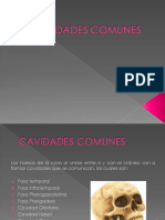 Clase 5 Cavidades Comunes.pdf