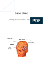 Clase 10 Diencéfalo.pdf