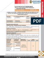 FICHAS PROYECTOS INVERSION (Reparado)