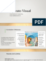 Aparato Visual PDF