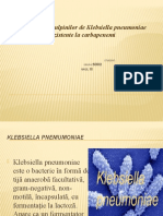 Raspandirea Tulpinilor de Klebsiella Pneumoniae Rezistente La Carbapenemi 1