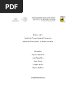 Modelo_de_Productividad_de_Prokopenko.docx