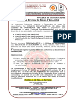 Nuevo_ACTUALIZACION DE SELLO CIP.pdf