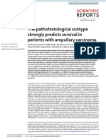 The Pathohistological Subtype Strongly Predicts Survival in Patients With Ampullary Carcinoma