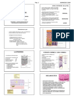 Dermato Clase 1 USAMEDIC 2018 Alumno