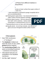 Adaptations of Plants From Different Habitats in Carrying Out Photosynthesis