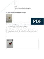 Atom and Molecule Model Lab Assignment