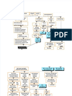 PDF Pathway Neuroblastoma DD