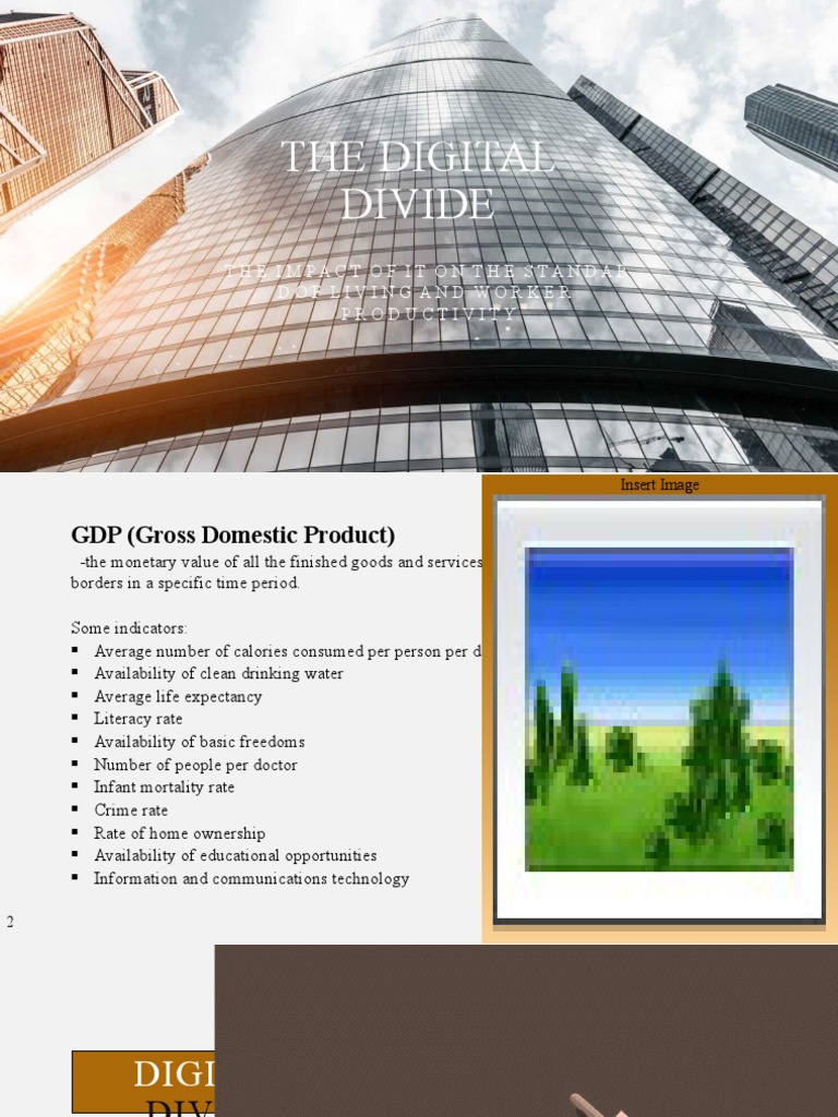 Bridging the Digital Divide: Impact & Solutions | PDF