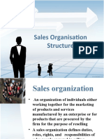 31373871-Sales-Organisation-Structure