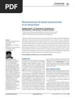 Reconstruction of Virtual Neural Circuits in An Insect Brain