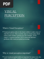 Visual Perception: Report By: Jerard Simbajon