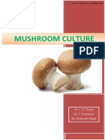 Mashroom Culture Signed