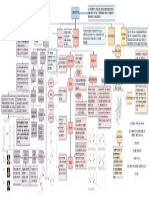 Carbohidratos Organizador Grafico