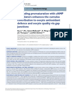 Extending Prematuration With cAMP Modulators Enhances The Cumulus Contribution To Oocyte Antioxidant Defence and Oocyte Quality Via Gap Junctions