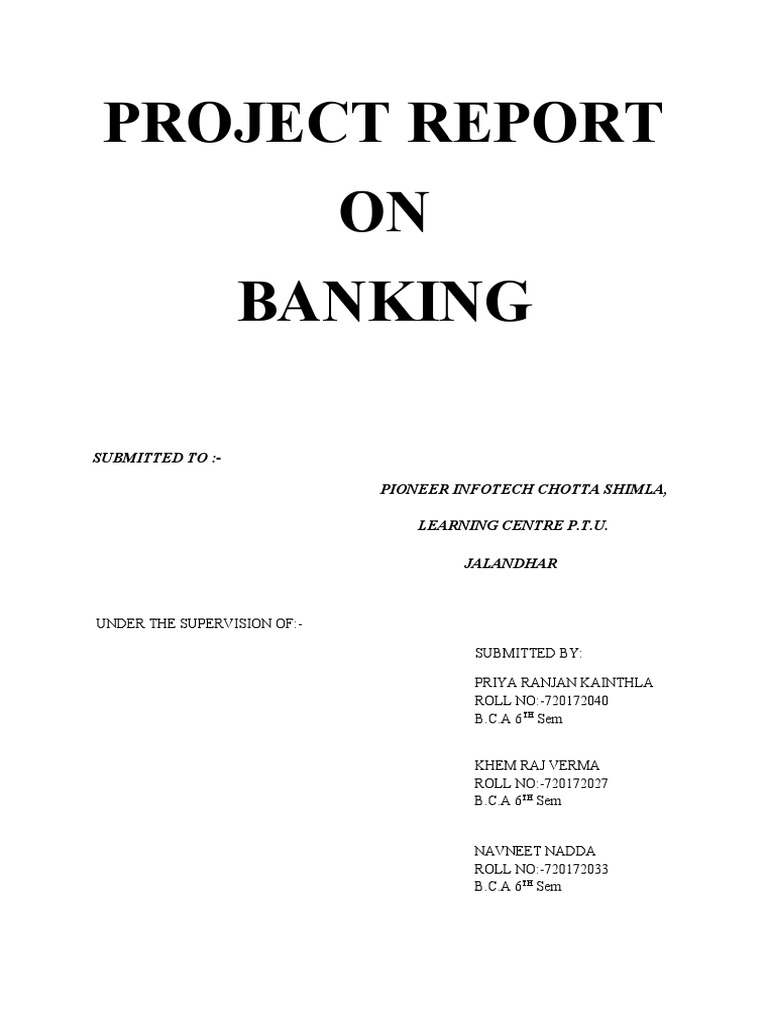 Banking Project Report for Pioneer Infotech | PDF